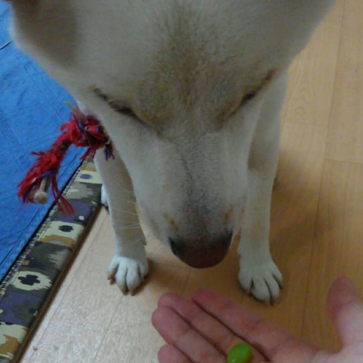 Fa408ada ab4a 4a0b 9169 fad3f0cf9b50