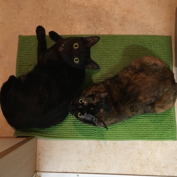 Fa40da90 c8bb 492d 9f8c 7bc0466dfe80