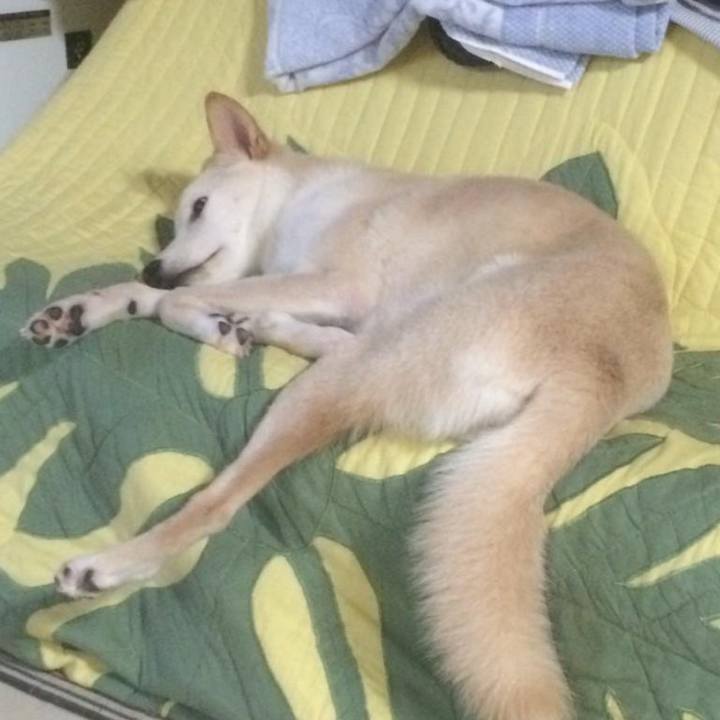 Fa40dfa5 32cb 4464 93f4 2c91ce682445