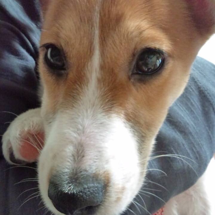 Fa4187a7 adaf 415f 9700 8a0484a50b37