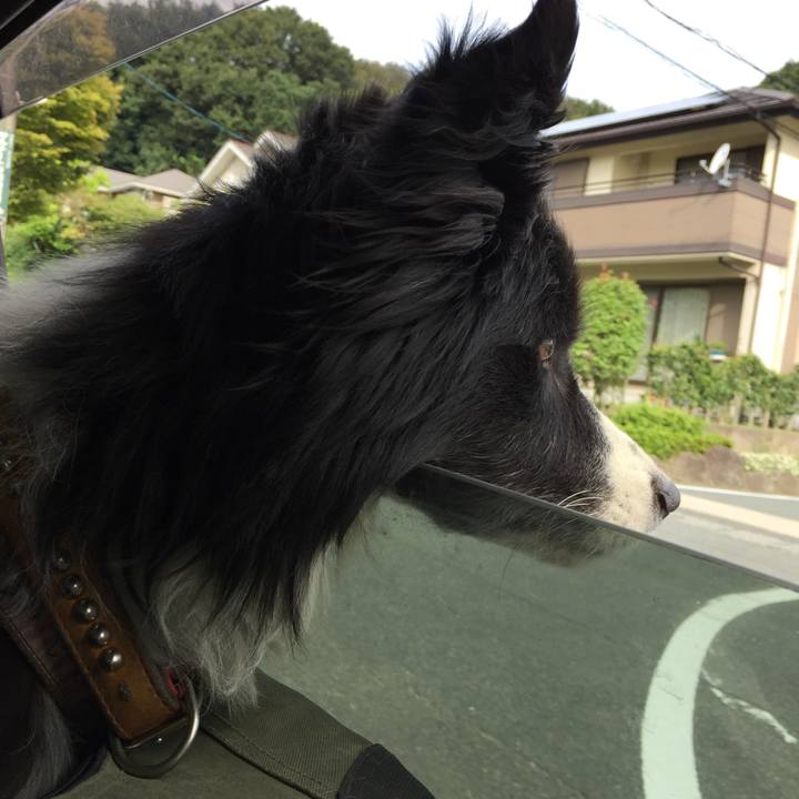 Fa420062 6a12 4259 8393 6742d5eececd