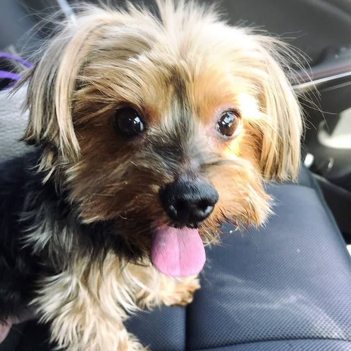 Fa4262fe d6a0 46bb 8daf 8b7f2039a743