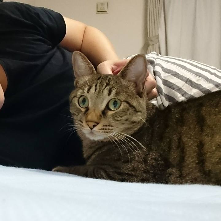 Fa430ba8 68ec 4b4e bb3b f0a10a9f5ab1