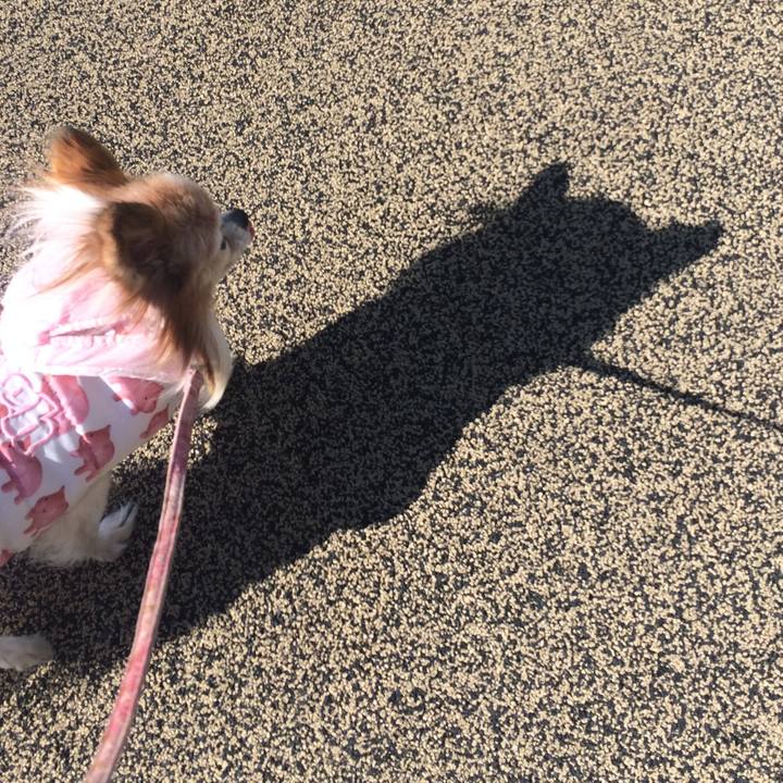 Fa433957 e8a2 4dff 8af0 3d26c4a40ad8