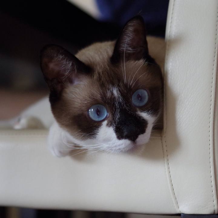 Fa443bef b644 4531 badd 739d4debb8d4