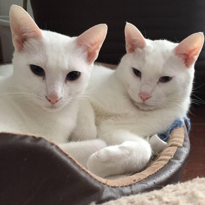 Fa447a01 fd43 435f 89bc 9a7ecf6e2a99