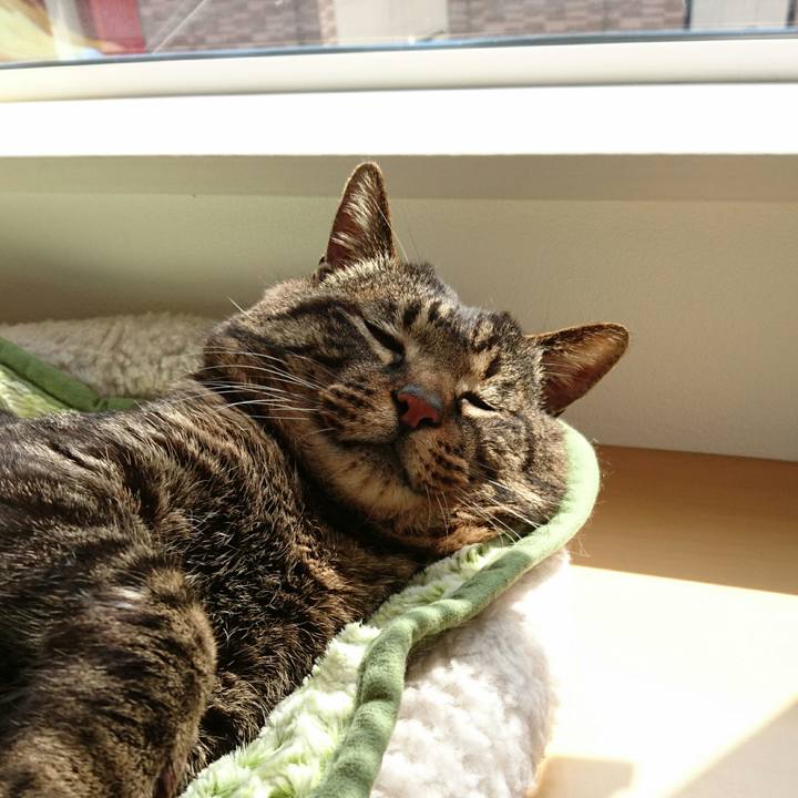 Fa44dfc4 8289 4ec7 84ea 23e6cae254f0