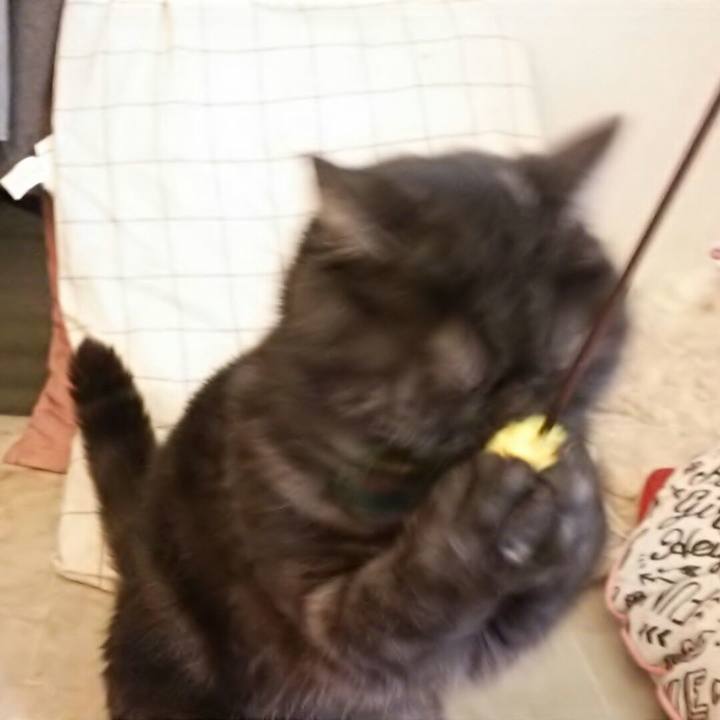 Fa45070d ccf3 401f 90b3 8c9cd6e36658