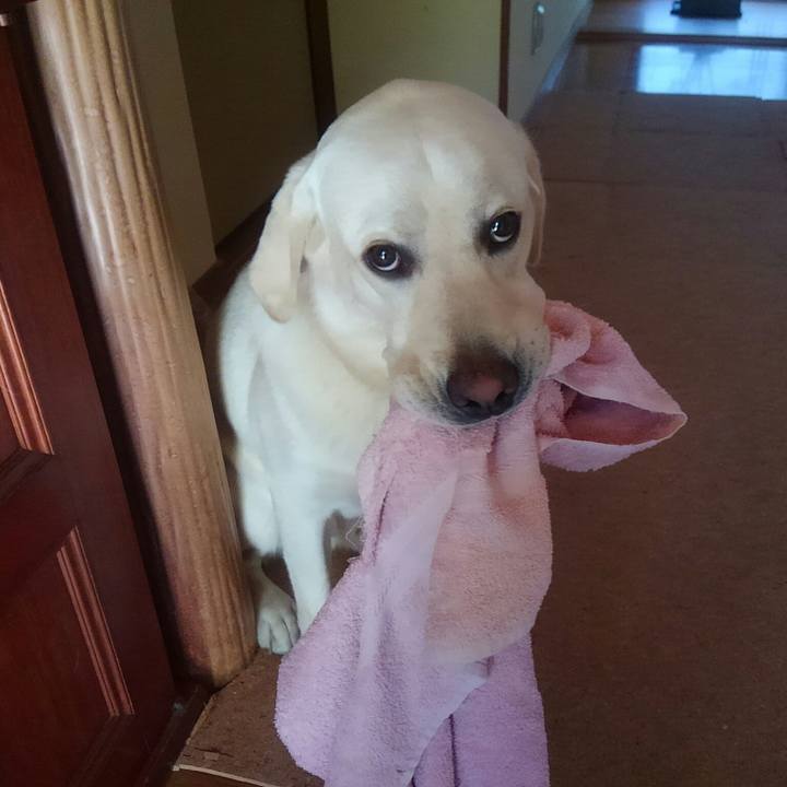 Fa4542cc 7405 41c9 bcb4 eb7b0aa42ee2