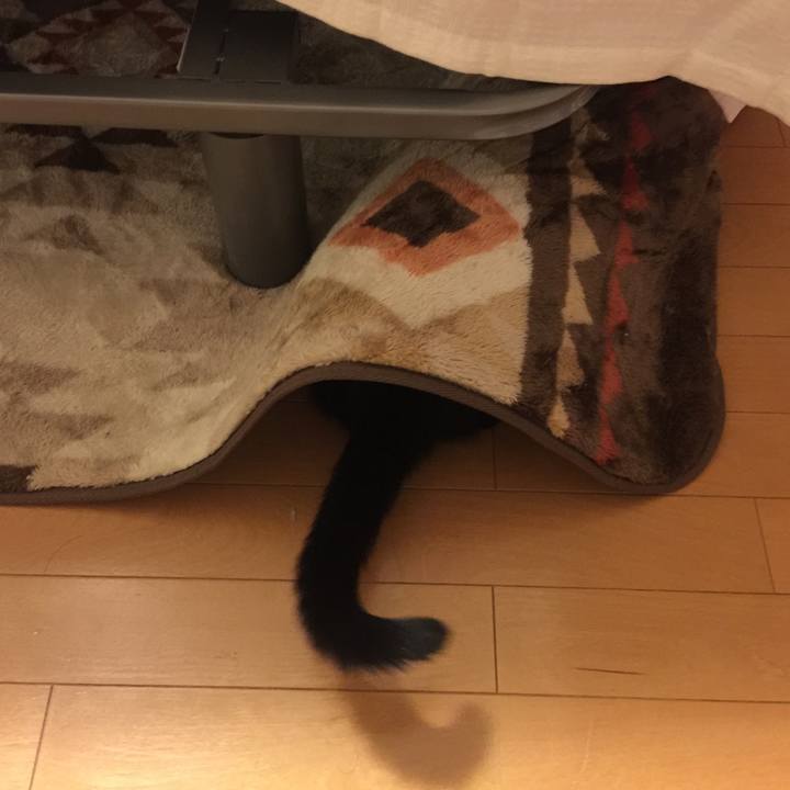 Fa4557b2 da6f 40db ac1f 87735a3e46b6