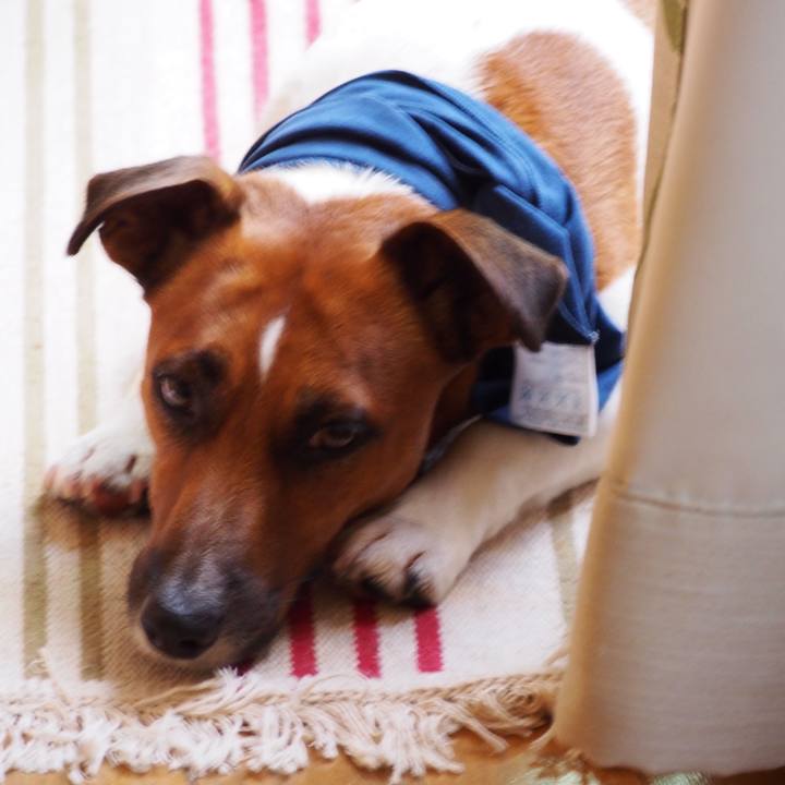 Fa463a04 154c 447a 9d82 b7f442a9d9a3