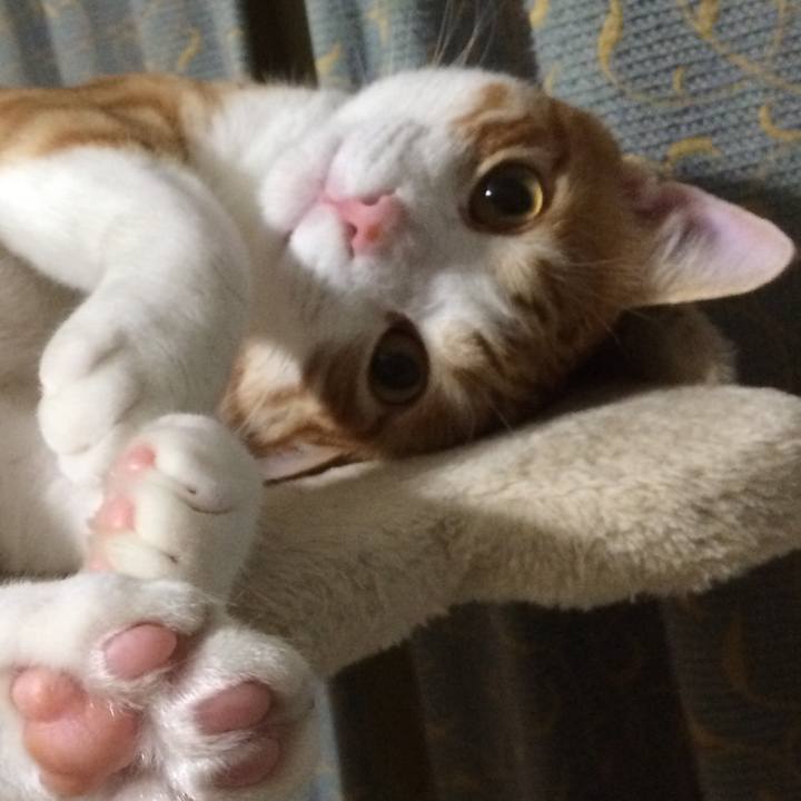 Fa46ba90 a3d8 475d 95a7 321ab6d173fe