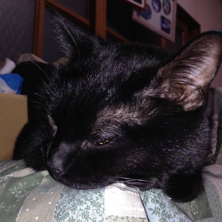 Fa4737c6 bf6e 43d4 968a 35e592c199d6