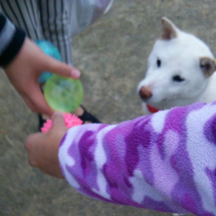 Fa47d1d4 5504 4503 b74d 59dfefaca45d