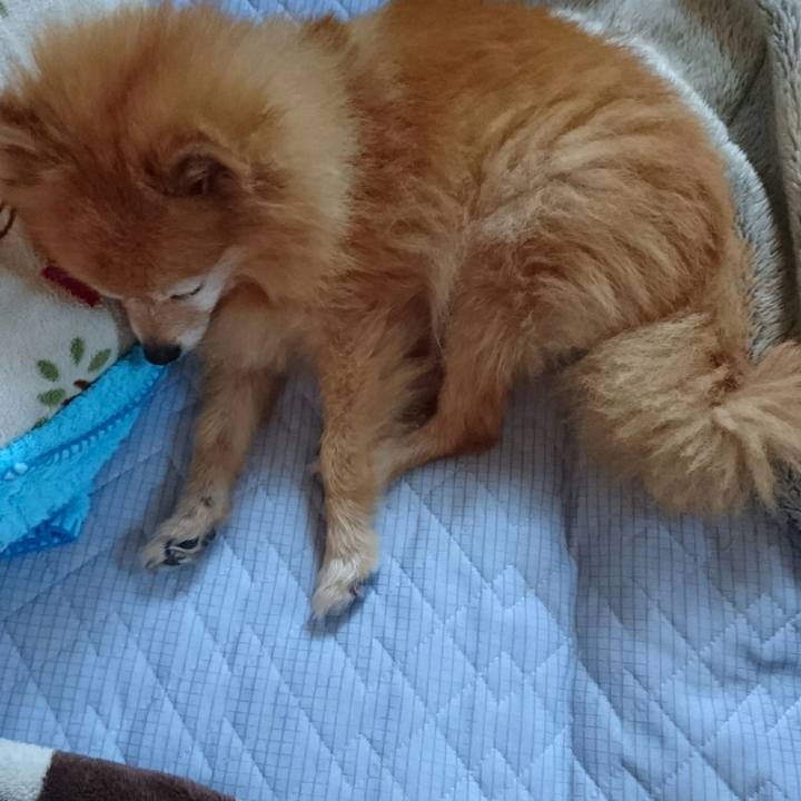 Fa47e75b 4c37 475c 9649 827108ab346c