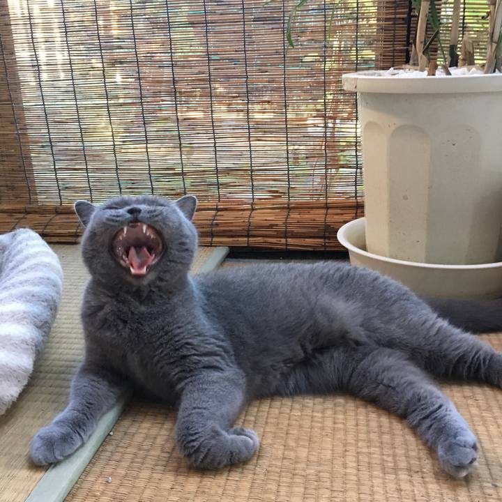 Fa47f30d 0848 4291 9652 84840847035e