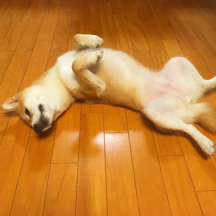 Fa489db3 9939 49f9 9b4c e51956885c9f