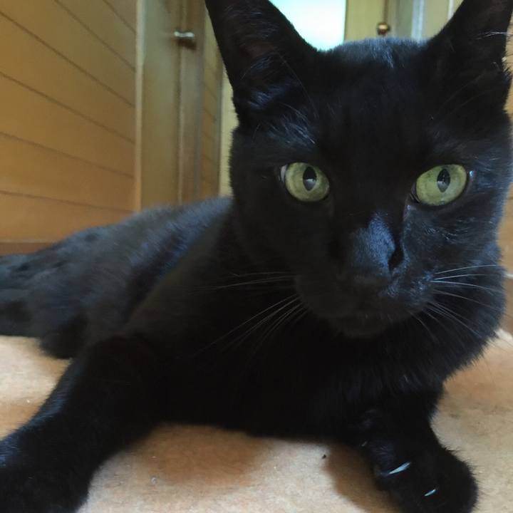 Fa499435 0b7f 4797 9cf6 1116ee01ed6f