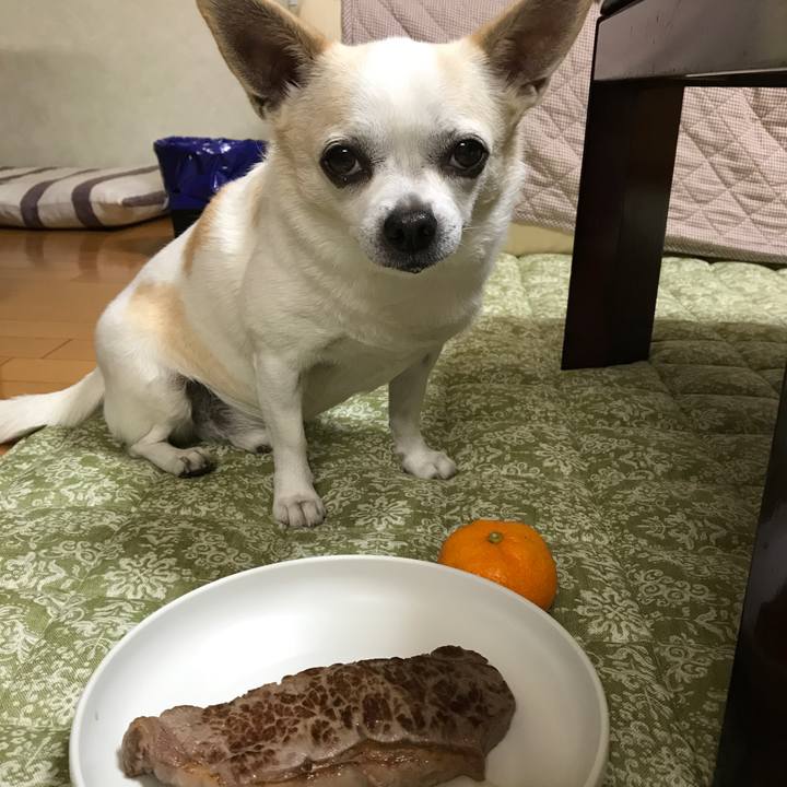 Fa49e164 397d 42ad 9166 98e579924e5f