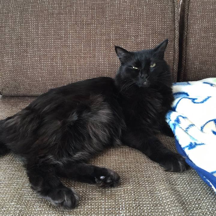 Fa4a29fe 8a4e 42b9 9402 06d7f95ce5e4