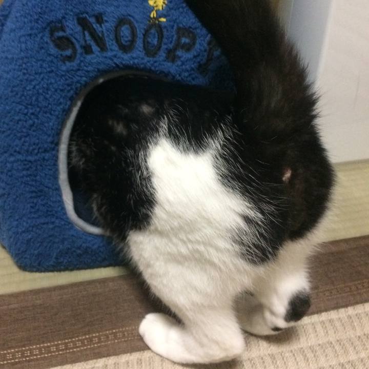 Fa4a4c78 e64a 4ea7 8541 5dd201d258f2