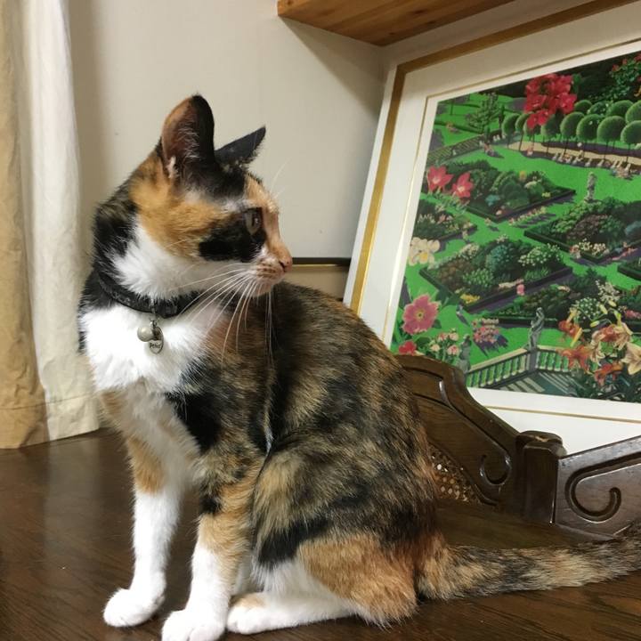 Fa4a8150 45b5 4f17 9039 fe36a710075a