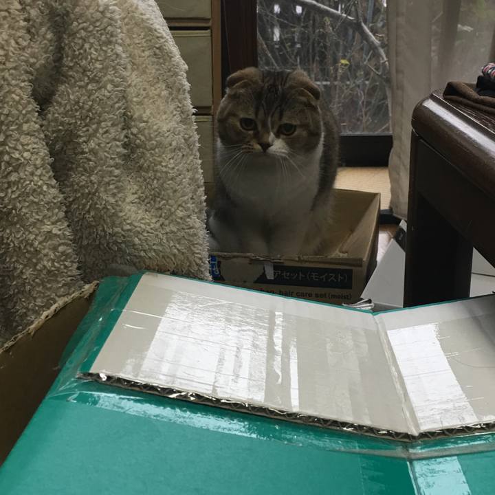 Fa4ab523 0b71 429d b680 4a0a1a14b7e4