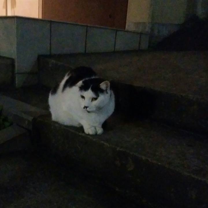 Fa4ac738 fe1d 451c a479 76e52f04365f