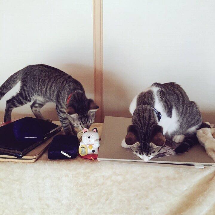 Fa4b3e71 df96 4d49 ac01 f7a97513cf97