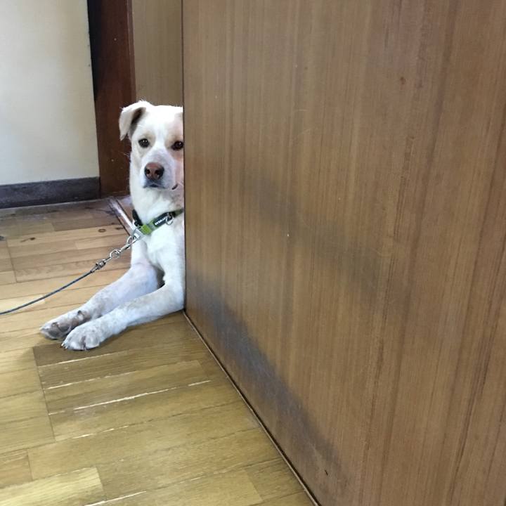 Fa4be7db 40e0 44d1 87e1 1a186124249a