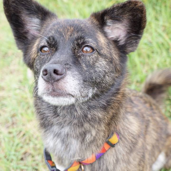 Fa4c071d 1ee6 49ce 9c8b 0b408fd99d31