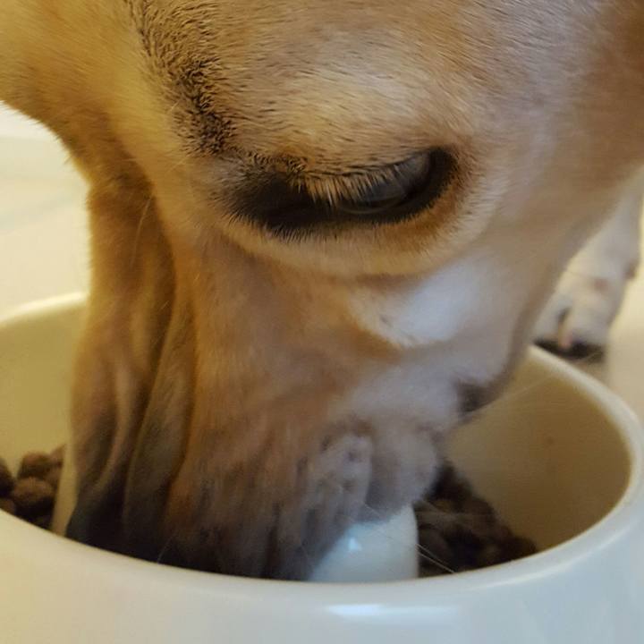 Fa4cabb4 2eaa 44c6 b5e3 d7242c70318c