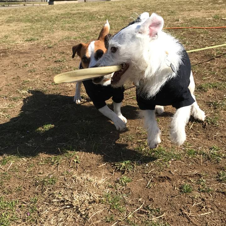 Fa4d8051 8dcd 42c3 b858 124eb4f1946a