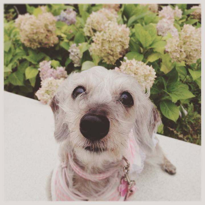 Fa4d8e72 e4ba 4dee ae34 68bdd320bdd1