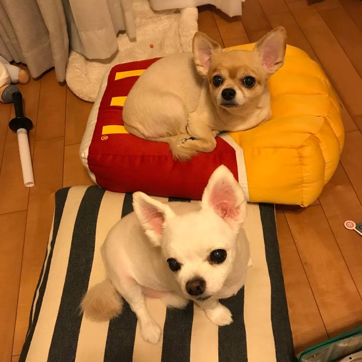 Fa4de911 b99a 42da bc13 52ea94556360