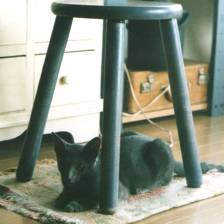 Fa4e1131 15eb 46c8 b6b1 34c8497ffdb7