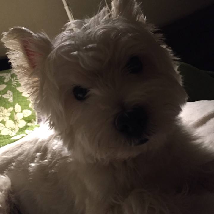 Fa4e3907 3eaa 41a4 813e f0814aca60ee