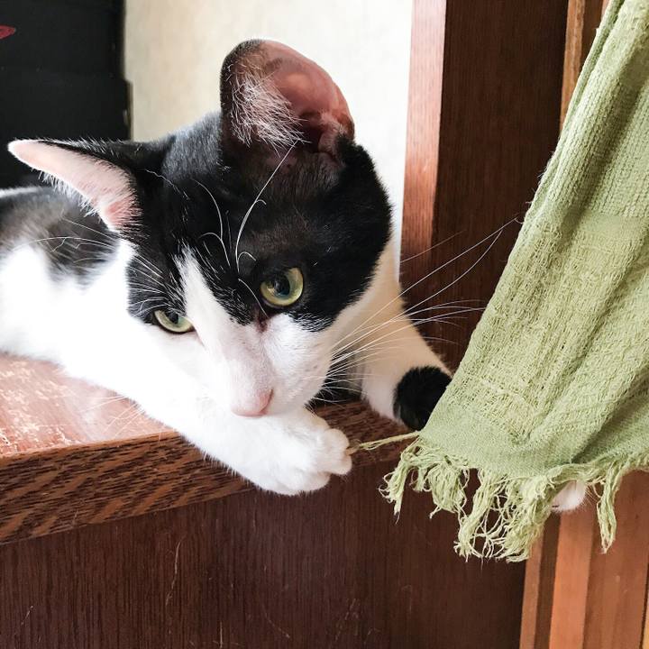 Fa4e4468 85b3 486c 953b 474f56a24d83