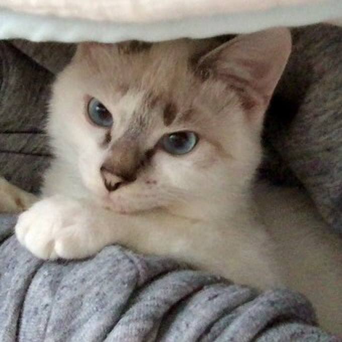 Fa4f4127 af8b 42bc bd82 a0ae10babc2d