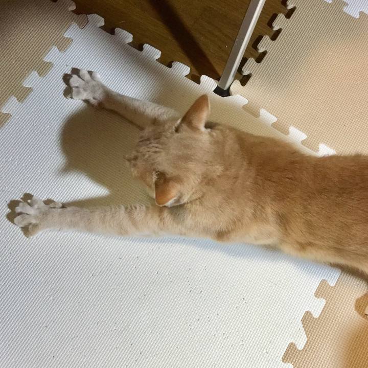 Fa4f7ed0 ca1a 44bc a78b 20ff145af935