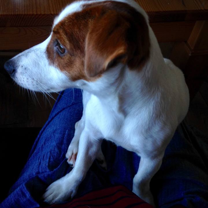 Fa50318a c01b 4348 9981 ded4bcc6d858