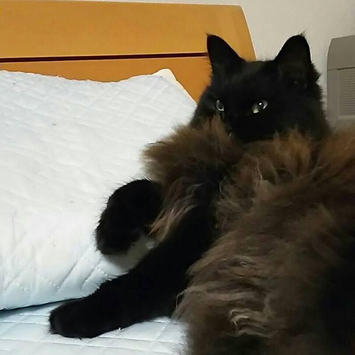 Fa508f72 f6c4 4c56 9450 30789fed929e