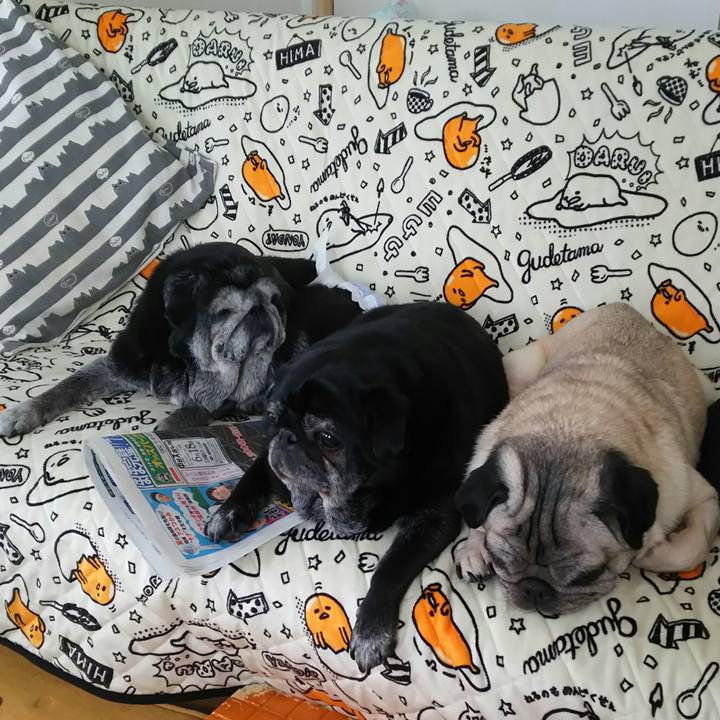 Fa50e5cd 27e5 47ca 8698 8aa4ddceffb5