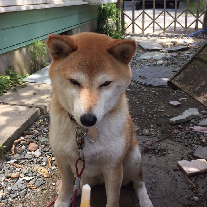 Fa5129ab 3dc7 4aca bc84 9db30f79413c