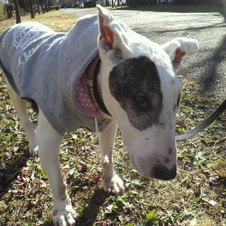 Fa513150 395c 499c 8e86 9338a7bfa65c