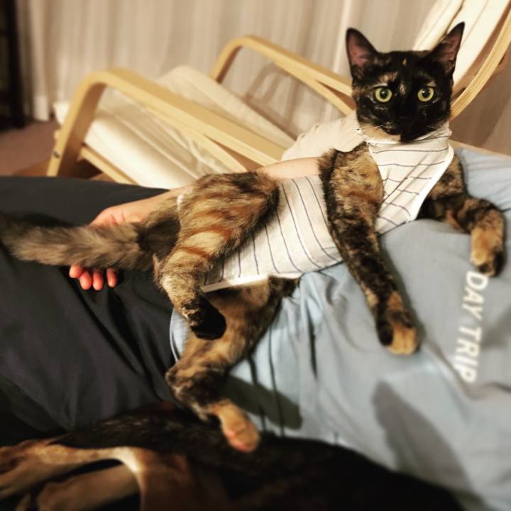 Fa515029 ae6b 4844 891c bb788a81aa7c