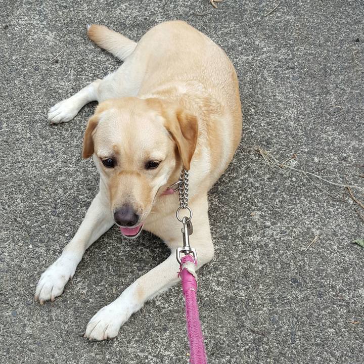 Fa523ae8 788e 4572 9d10 ef59c2fe31f9