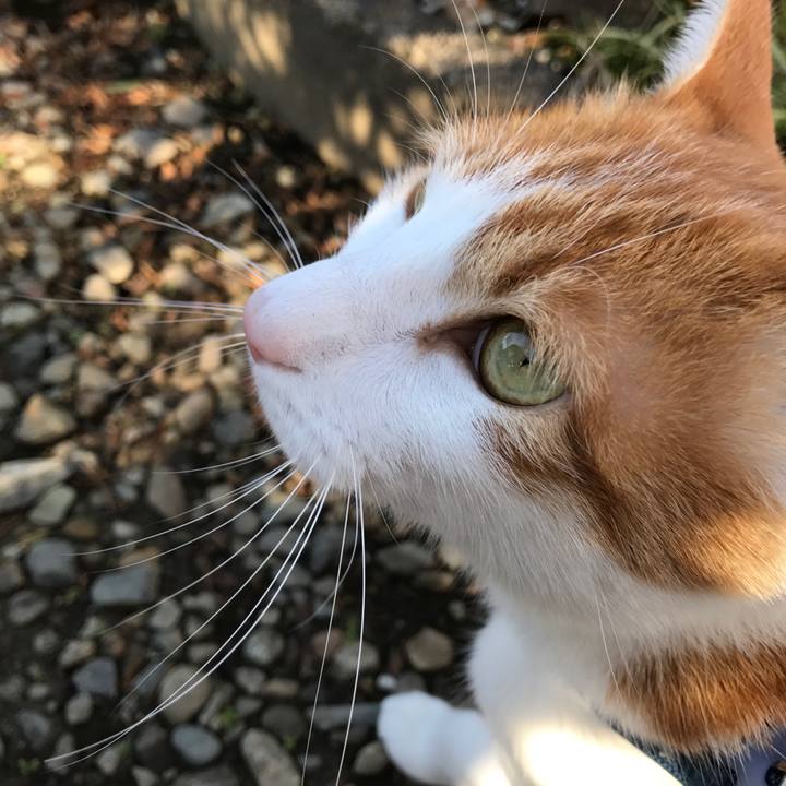 Fa52c9ba 490c 464e 8fdd 8d4d23d30030