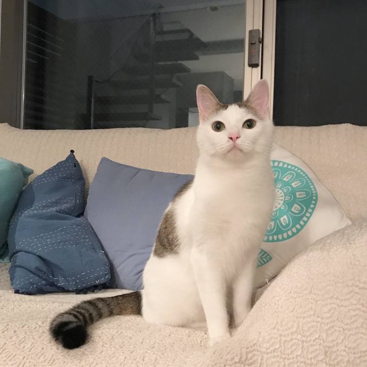 Fa53a3e0 a9cb 4702 bbee 10a49142d8f9