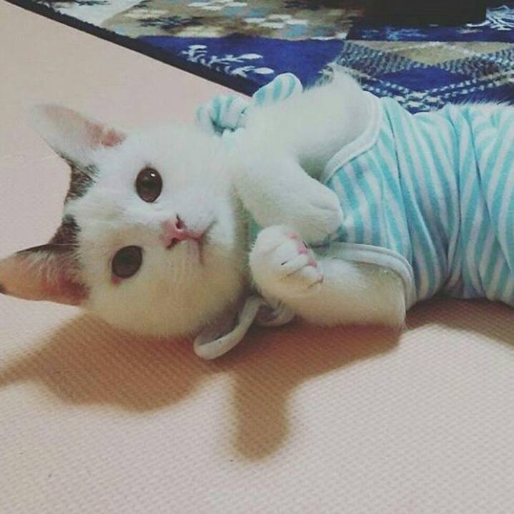 Fa53afe2 61a0 44ef bbd5 d30bdccc2e0d